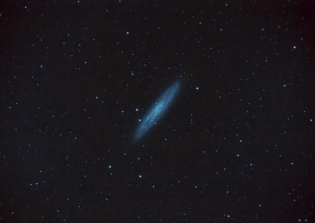 NGC253 ‘Sculptor Galaxy’